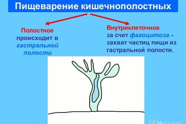 Маркетплейс кракен купить